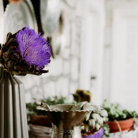 Morisi Avlu Ξενοδοχείο